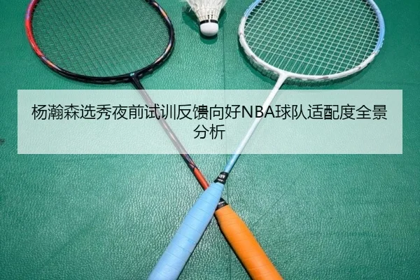 杨瀚森选秀夜前试训反馈向好NBA球队适配度全景分析